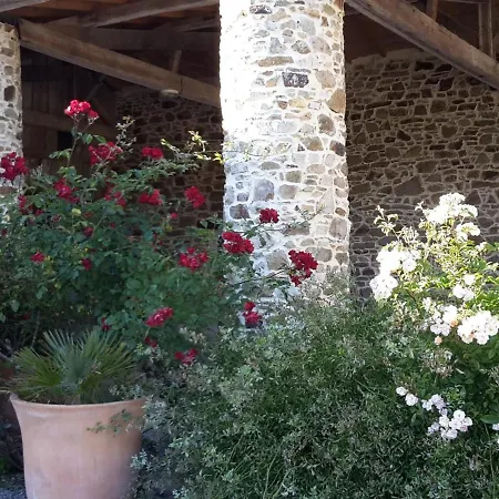 Entre Nantes Et La Avec Jacuzzi, Jardin Et Velos - Fr-1-306-1050 * Port-Saint-Pere